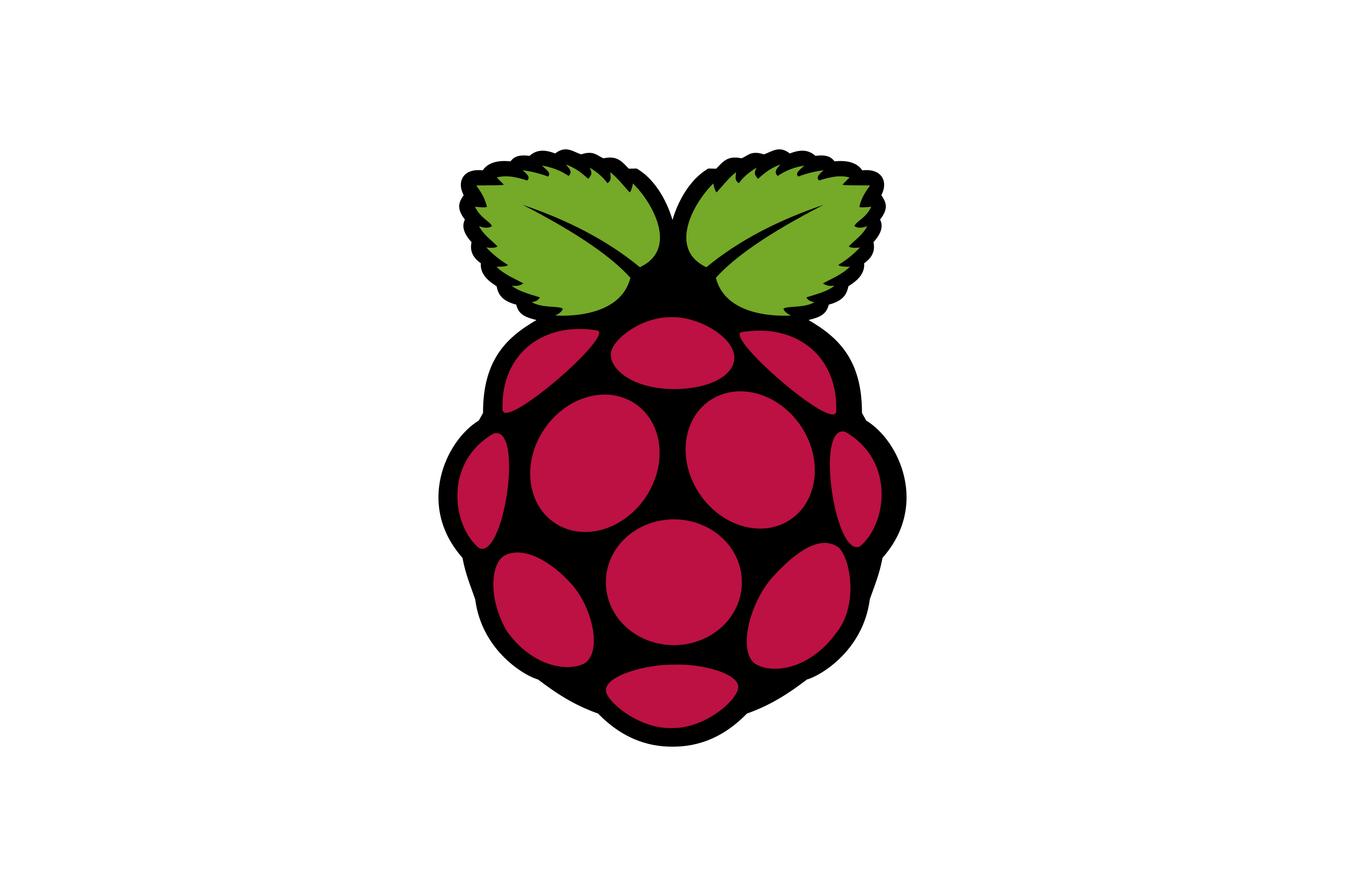 Raspberry pi