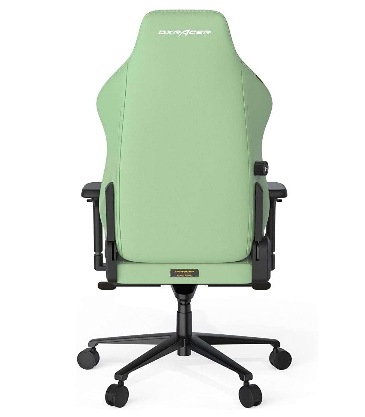 DXRacer Craft Pro Classic Green, 2D Integrated  Lumbar Support, 4D Armrests, Adjustable Recline with Cooling Gel Foam Pillow, Standard | CRA-PR001-E-H1