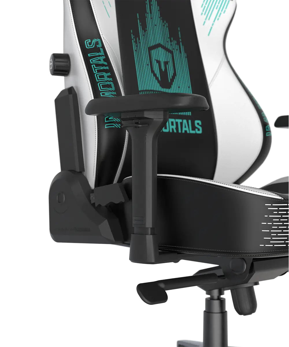 DXRacer Craft Pro Immortals - Black/White, 2D Integrated  Lumbar Support, 4D Armrests, Adjustable Recline with Cooling Gel Foam Pillow, Standard | CRA-PR041-NW-H1